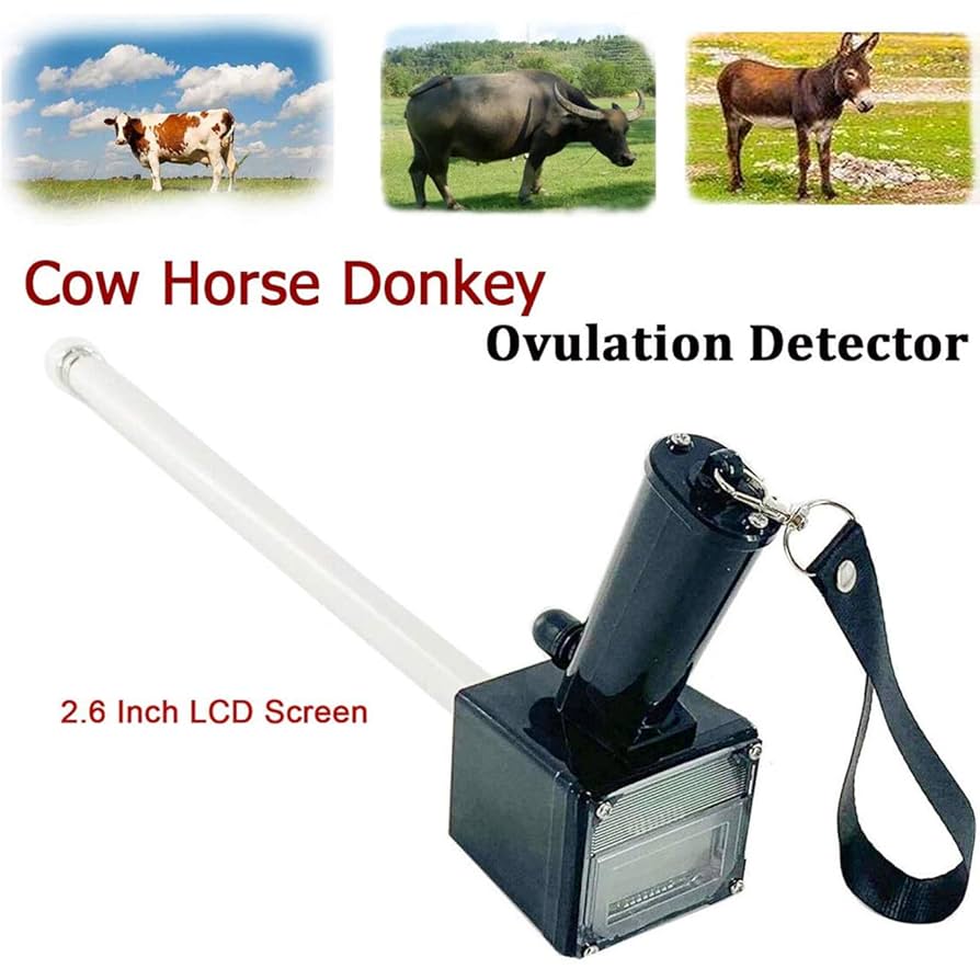 生産獣医療システム 乳牛編 1.2.3 71xp0pJ2tAL._UF350,350_QL50_.jpg